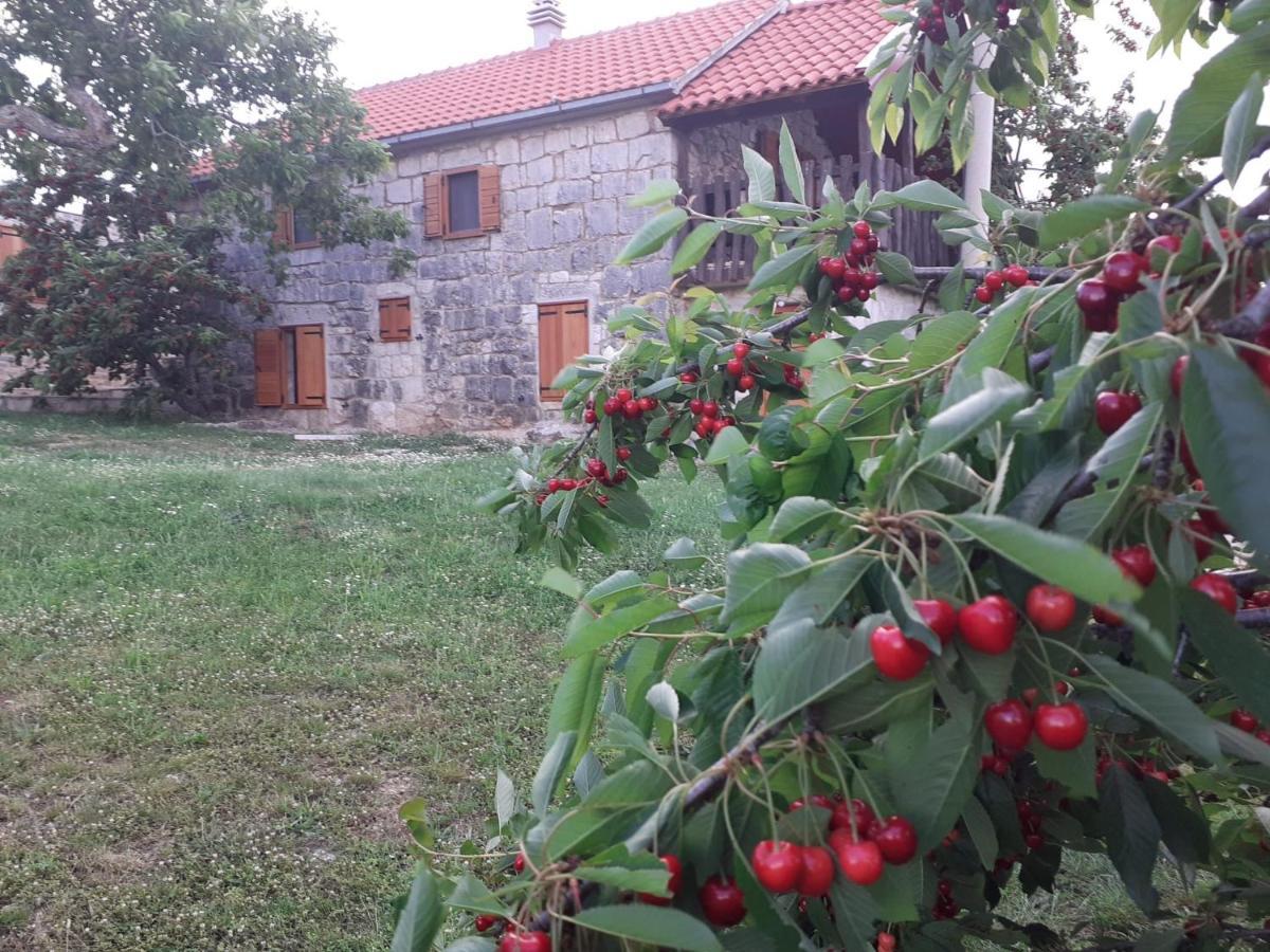 Patakun Holiday Home For 5, With Heated Pool Lecevica Экстерьер фото